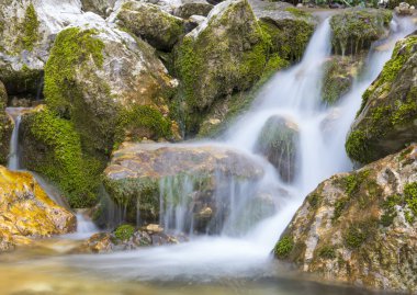 Ormanda, sonbaharda şelale mount Cucco Np, Umbria, İtalya
