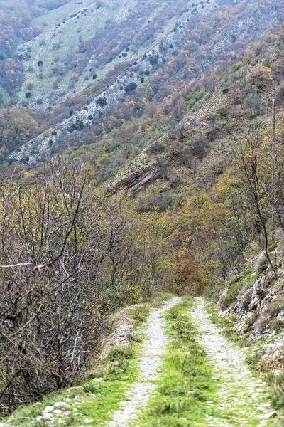 Polnej drodze w lesie, Monte Cucco Np, Apeniny, Umbria, Ital — Zdjęcie stockowe