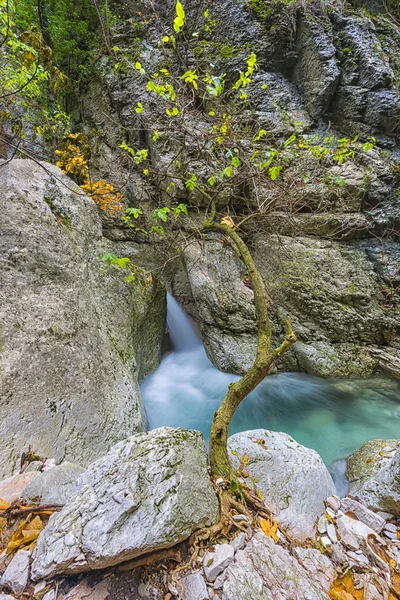 Baum auf dem Kamm mit Wasserfall auf dem Rücken, monte cucco np, ap — Stockfoto