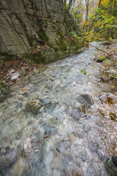 Říčka v lese v podzimu, Monte Cucco Np, Appennines, — Stock fotografie