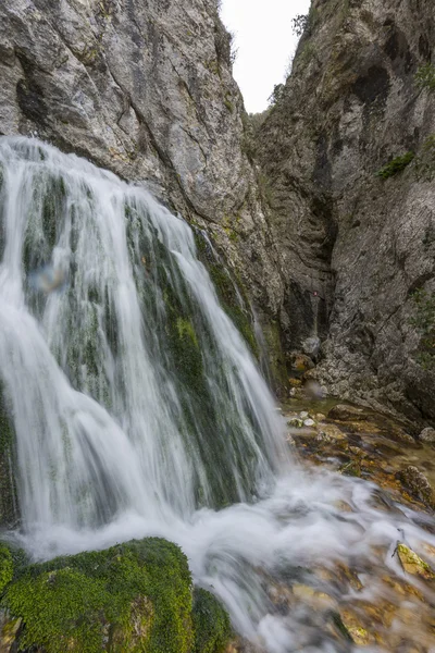 Cachoeira no outono na floresta, monte Cucco NP, Úmbria, Itália — Fotografia de Stock