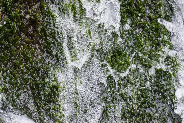 Вода падает на зеленый мох — стоковое фото