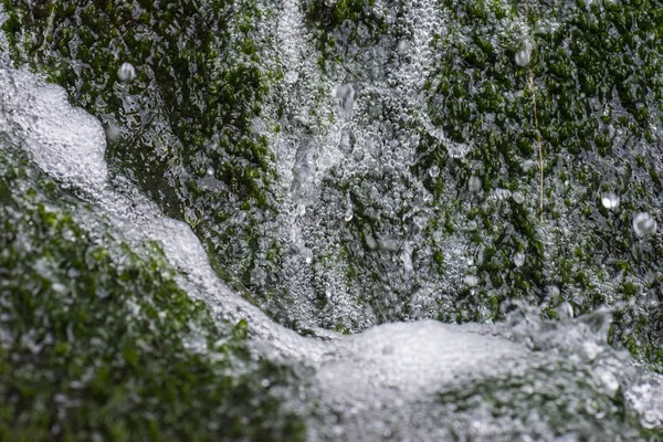 Água caindo no musgo verde — Fotografia de Stock