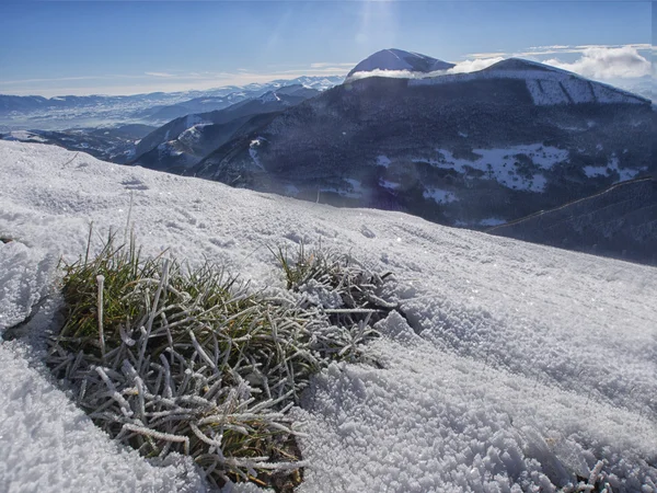 Hierba helada en invierno, monte Motette, Apeninos, Umbría, Italia — Foto de Stock