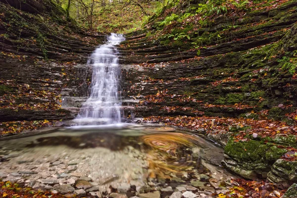 Şelale orman Güz, Monte Cucco Np, Umbria, İtalya
