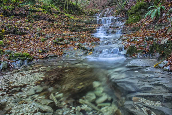 Şelale orman Güz, Monte Cucco Np, Umbria, İtalya