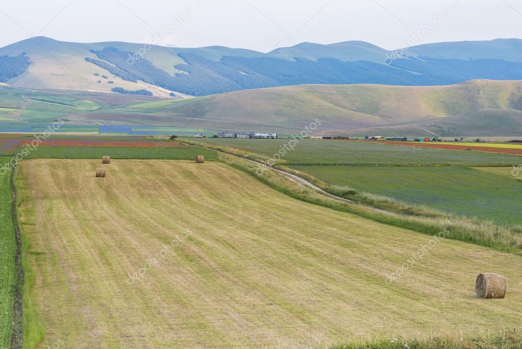 Colored fields with bales in Piano Grande, Monti Sibillini NP, U