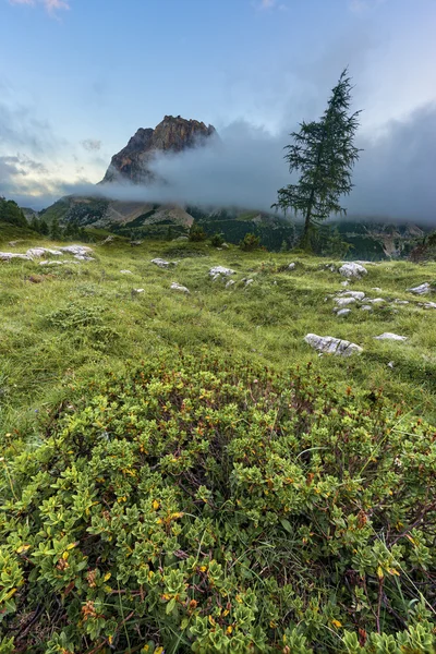 Mount Averau at sunrise from pass Falzarego, Dolomites, Veneto, Italy — Stock Photo, Image