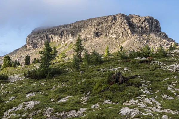 Monte Nuvolau all'alba con nuvole, dal Passo Falzarego, Dolomiti, Veneto, Italia — Foto Stock