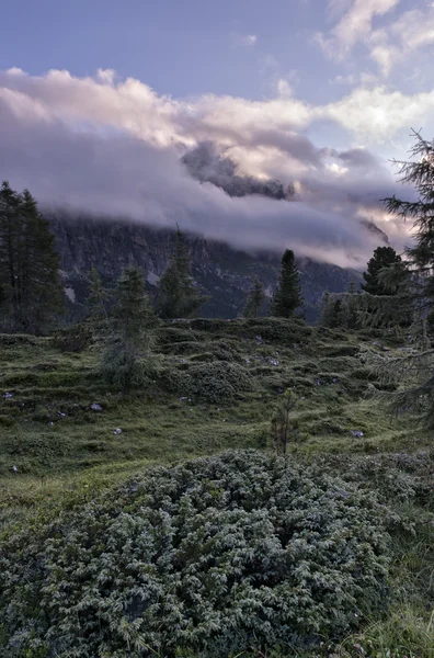 Mount Sass de çekirdeğiyle bulutlar ve sis, gündoğumu, Dolomites, Veneto, İtalya