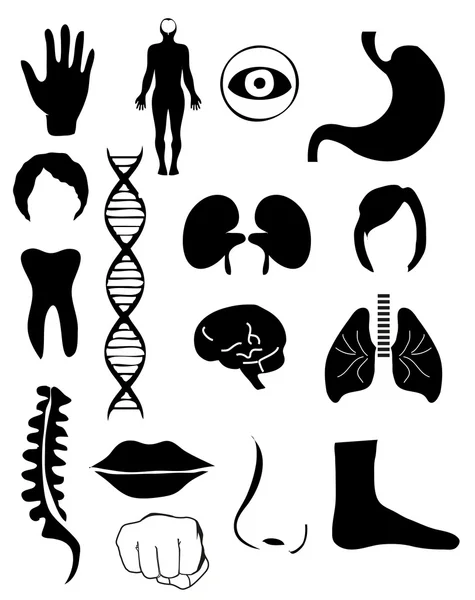 Lidské anatomie ikony — Stockový vektor
