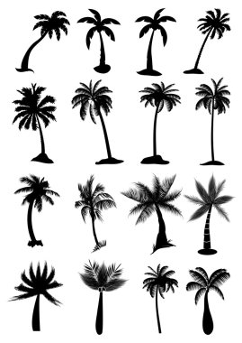 Palm trees icons set clipart