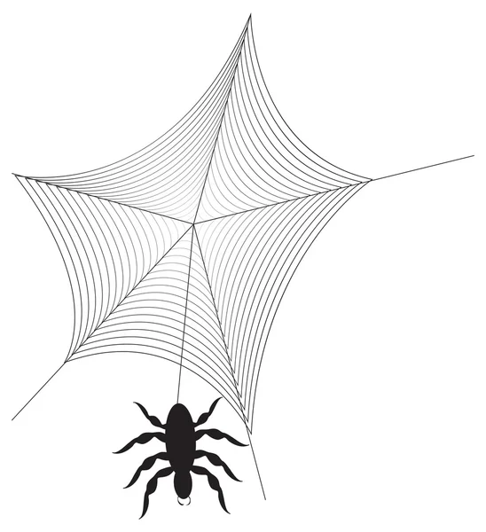 Red de araña — Vector de stock