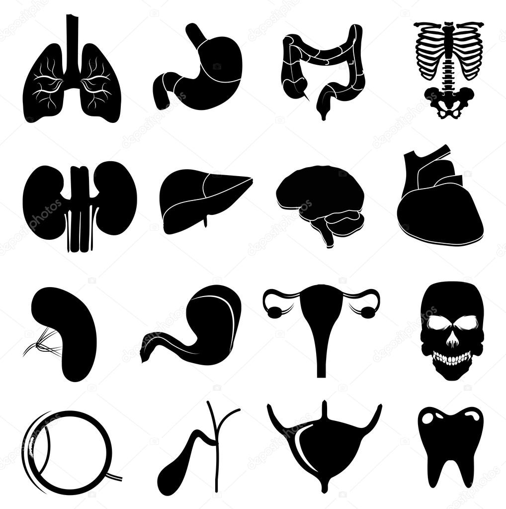 Download Body part symbols | Human internal body parts icons set ...