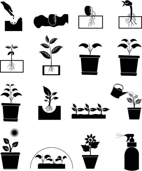 Plant groeien icons set — Stockvector