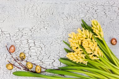 Easter background. Yellow hyacinths, quail eggs and willow branch on white wooden table