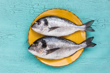 Mavi zemin üzerine sarı plaka üzerinde ham dorado balık.