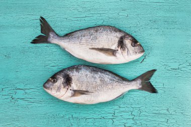 Mavi arka plan üzerinde iki çiğ dorado balık