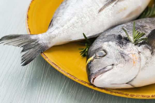 Tabakta çiğ taze dorado balık .