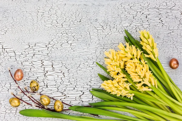 Easter background. Yellow hyacinths, quail eggs and willow branch on white wooden table — Stock Photo, Image