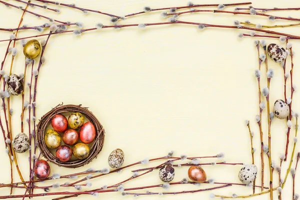 Vrbovou větvičkou a barevné křepelčí vajíčka. Velikonoční pozadí. Kopírovat prostor — Stock fotografie