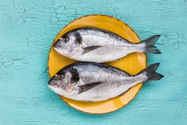 Mavi zemin üzerine sarı plaka üzerinde ham dorado balık.