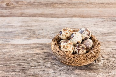 Ahşap arka plan üzerinde küçük yuvabıldık yumurta. Paskalya