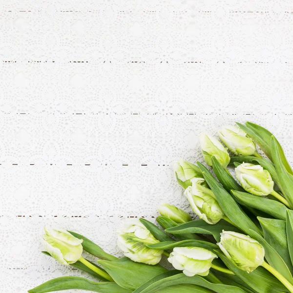 Weiße Tulpen auf weißer Tischdecke. Strauß, Kopierraum, Urlaubshintergrund — Stockfoto
