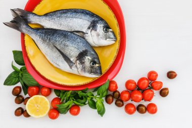 Çiğ dorado Balık plaka üzerinde. Üstten Görünüm