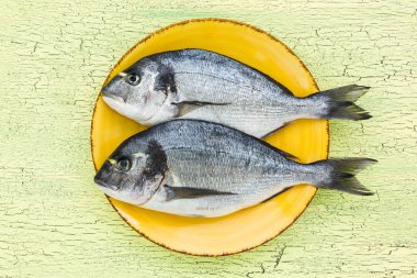 Sarı plaka üzerinde iki çiğ dorado balık. Üstten Görünüm