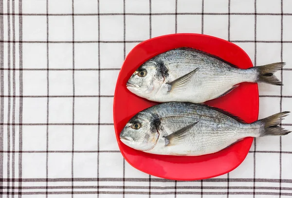 Dorado balık kırmızı plaka üzerinde. Üstten Görünüm