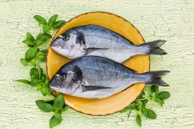 Sarı plaka üzerinde iki çiğ dorado balık. Üstten Görünüm, kopya alanı.