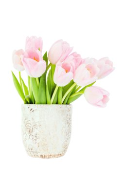 Cam vazo içinde Pembe Lale buketi. Beyaz bitti izole