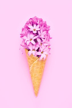 Pembe arka planda pembe sümbül çiçekli waffle külahı. Bahar konsepti Boşluğu kopyala, üst görünüm