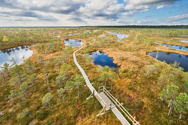 Emelkedett Mocsári Sétányon Felülről Nézve Kemeri Nemzeti Park Lettországban Ősz — Stock Fotó