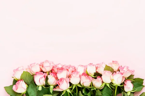 Rózsaszín rózsa virágok határolják rózsaszín alapon. Valentin-nap, anyák napja és születésnapja ünneplés koncepció. — Stock Fotó