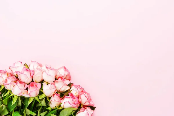 Ramo de rosas rosadas sobre fondo rosa. Día de San Valentín, Día de las Madres, y el concepto de cumpleaños. — Foto de Stock
