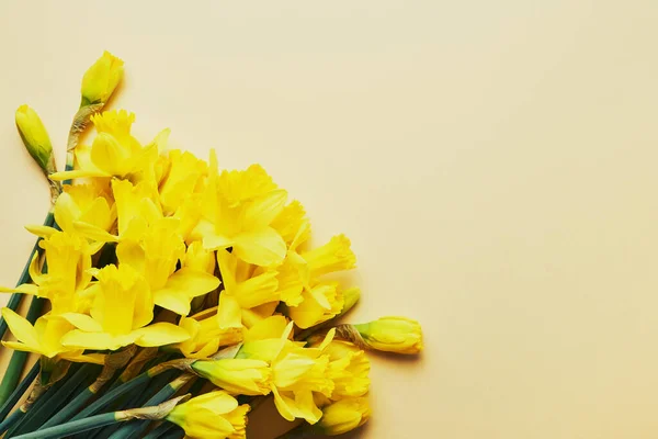 Bouquet of yellow narcissus or daffodil on a yellow background — Stock Photo, Image