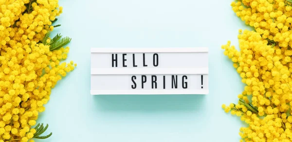 HELLO SPRING written in a light box and Mimosa flowers border on a light blue background. Spring concept.