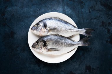 Koyu mavi arka planda beyaz tabakta çiğ dorado balığı. Üst görünüm, alanı kopyala