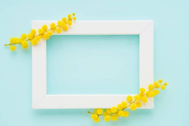 Mavi arka planda mimoza çiçekleri olan beyaz çerçeve. Bahar konsepti Üst görünüm, alanı kopyala