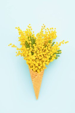 Mavi arka planda mimoza çiçekli waffle külahı. Bahar konsepti.