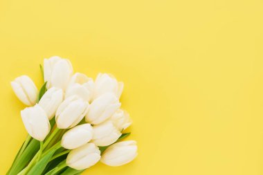 Sarı arka planda bir buket beyaz lale. Anneler günü, sevgililer günü, doğum günü kutlaması konsepti. Üst görünüm, metin için boşluk kopyala.