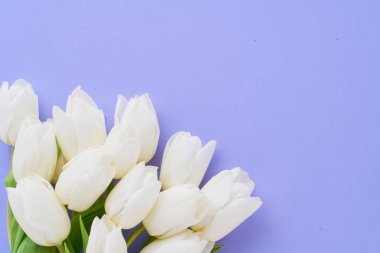 White tulips bouquet on a lilac background. Mothers Day, Valentines Day, birthday celebration concept. Top view, copy space for text