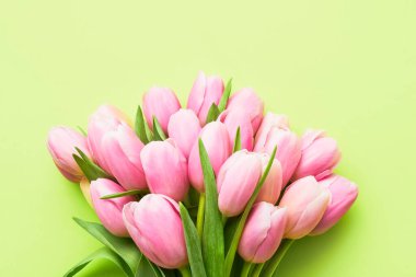 Yeşil arka planda pembe laleler, seçici bir odak noktası. Anneler Günü, doğum günü kutlaması konsepti. Düz konum, metin için boşluk kopyala