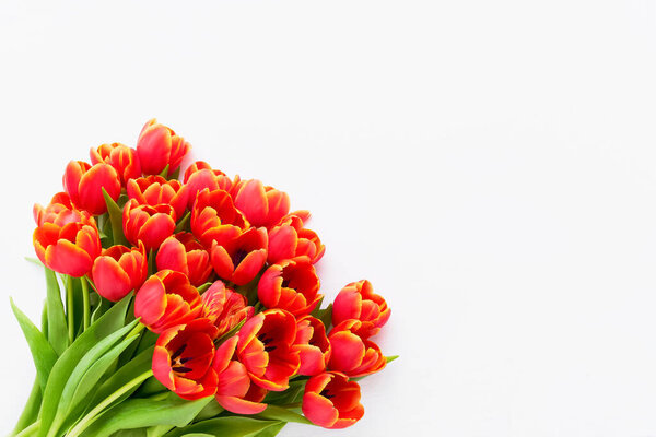 Red tulips bouquet a light background. Mothers Day, Valentines Day, birthday celebration concept. Top view, copy space for text