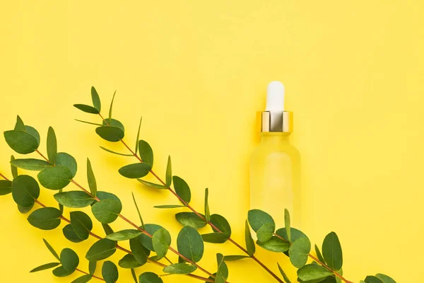 Botella Cuentagotas Vidrio Amarillo Para Uso Médico Cosmético Rama Eucalipto — Foto de Stock