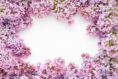 Beyaz arkaplandaki leylak çiçekleri. Üst görünüm, alanı kopyala.