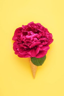 Parlak sarı arka planda waffle dondurmalı şakayık çiçeği. Düz yatıyordu