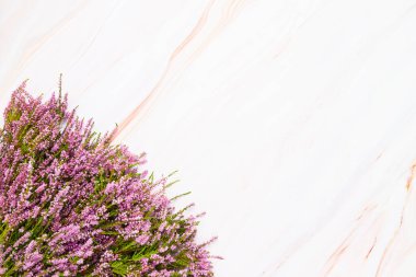 Açık mermer arka planda pembe Heather çiçekleri. Boşluğu kopyala, üst görünüm, seçici odak